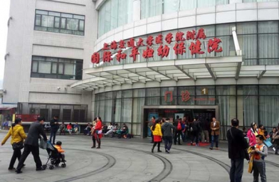 武汉上海做试管助孕，上海国妇婴试管婴儿成功率和费用是怎样？