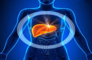 武汉干细胞治疗肝硬化及生活饮食